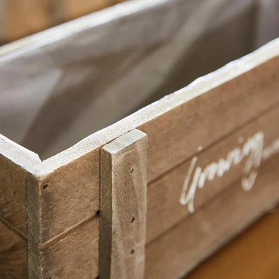 Dunelm Taylor's Bulbs Wooden Tray Planter with Herbs Kit Natural