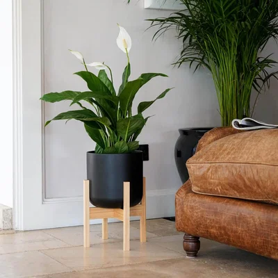 Dunelm Lisbon Plant Pot With Stand Anthracite