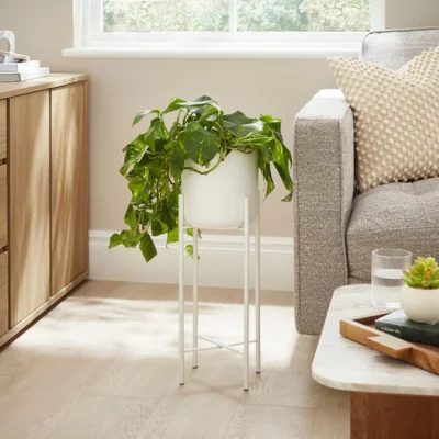 Dunelm Curved Metal Plant Pot with Stand