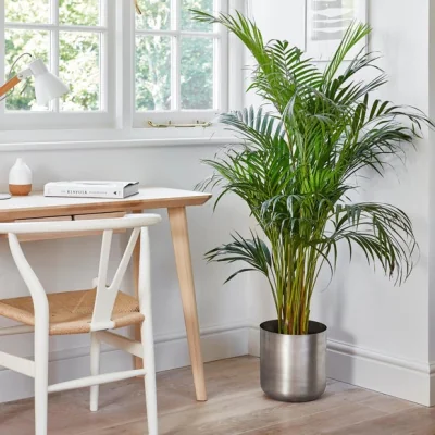 Dunelm Chelsea Planter Pewter (Grey)