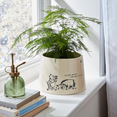 Dunelm Disney Winnie the Pooh Debossed Plant Pot Cream