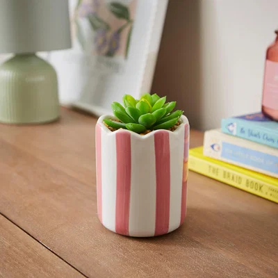 Dunelm Artificial Succulent in Striped Ceramic Plant Pot