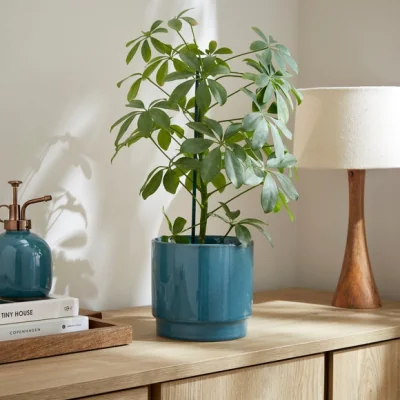 Dunelm Reactive Glaze Ceramic Plant Pot