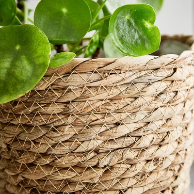 Dunelm Set of 3 Woven Plant Pots
