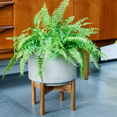 Dunelm Vigo Concrete Plant Pot With Stand Grey