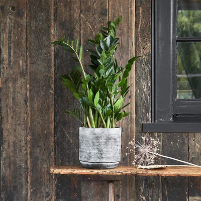 Dunelm Tivoli Earth Plant Pot Earth (Brown)