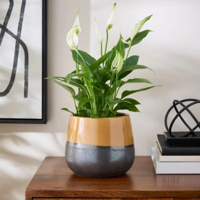 Dunelm Two Tone Reactive Glaze Ceramic Plant Pot