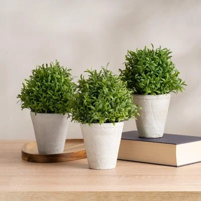 Dunelm Set of 3 Artificial Topiary Plants in Cement Plant Pots