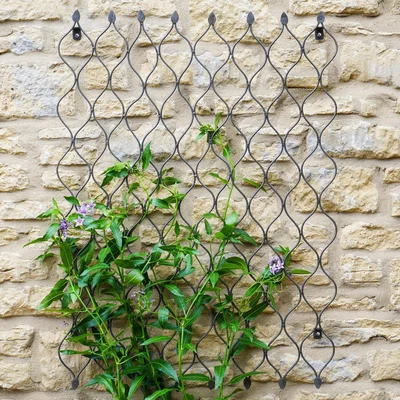 Dunelm Outdoor Honeycomb Trellis Zinc