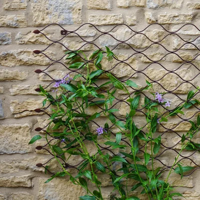 Dunelm Outdoor Honeycomb Trellis Bronze