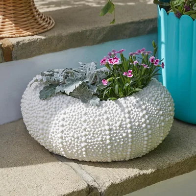 Dunelm Sea Urchin Plant Pot