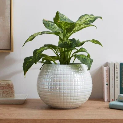 Dunelm Iridescent Disco Ball Plant Pot