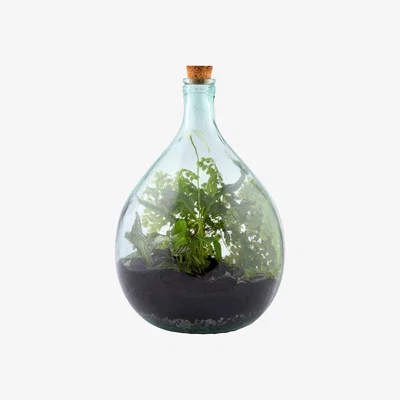 Dunelm Fallen Fruits 15L Terrarium Bottle and Tools Set Clear
