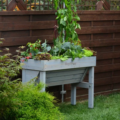 Dunelm VegTrug Small Wall Hugger Grey