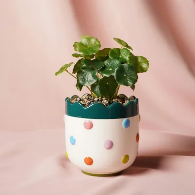 Dunelm Raspberry Blossom Artificial Bobble Plant Pot