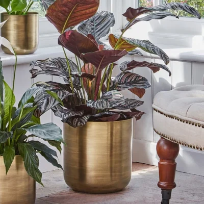Dunelm Chelsea Planter Brass
