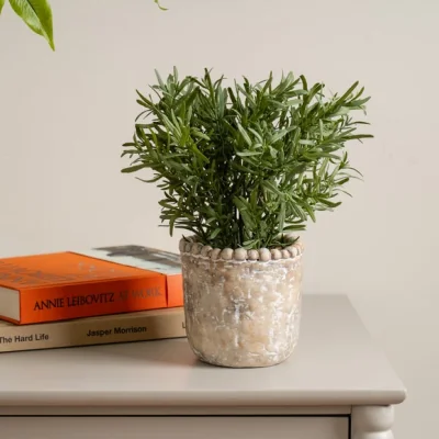 Dunelm Artificial Rosemary in Rustic Plant Pot