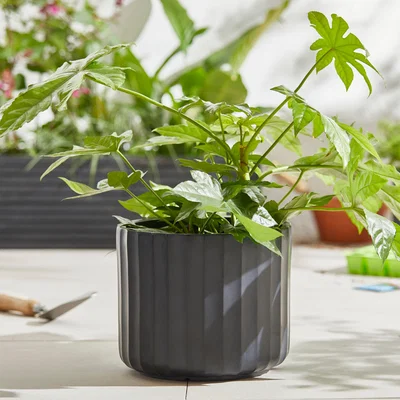 Dunelm Large Fibre Clay Black Vertical Ribbed Pot Black