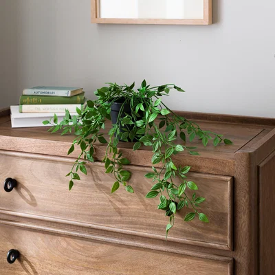 Dunelm Artificial Scindapsus Plant in Black Plant Pot