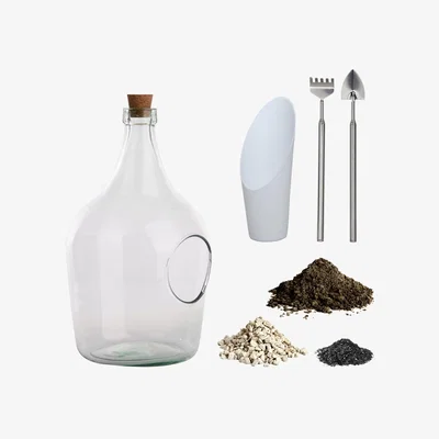 Dunelm Fallen Fruits DIY 3 Litre Terrarium Bottle Kit Clear