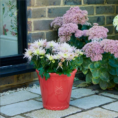 Dunelm Sophie Robinson Small Watermelon Plant Pot