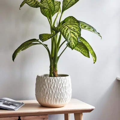 Dunelm Arles Leaf Embossed Planter White