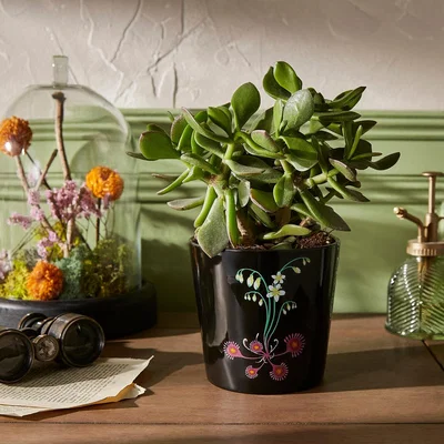 Dunelm Small Black Moorland Plant Pot Black
