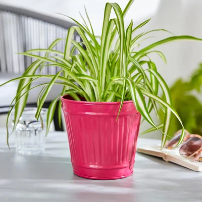 Dunelm Small Metal Plant Pot Magenta