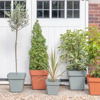 Dunelm Cleo Square Planter with Wheels