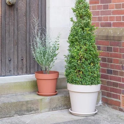 Dunelm Cleo Planter with Wheels