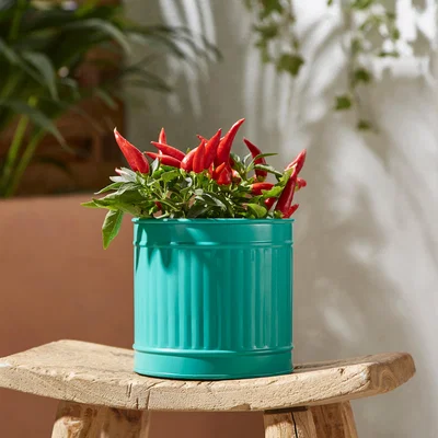Dunelm Small Bright Metal Plant Pot