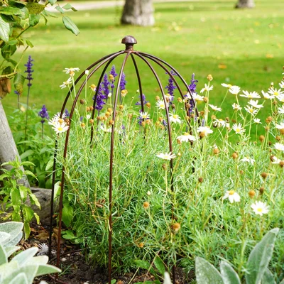 Dunelm Outdoor Plant Support Bronze