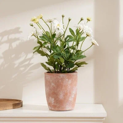 Dunelm Artificial White Daisy in Terracotta Plant Pot