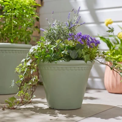Dunelm Scalloped Edge Smooth Fibre Clay Plant Pot