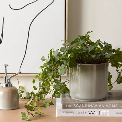 Dunelm Reactive Glaze Grey Ceramic Plant Pot Grey