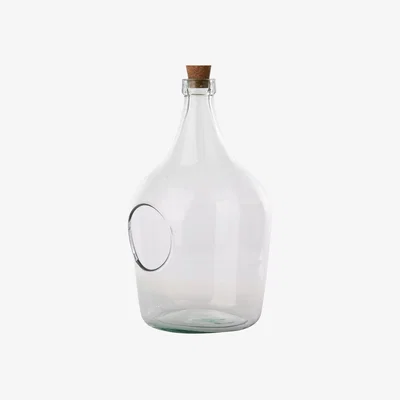 Dunelm Fallen Fruits 5 Litre Open Terrarium Clear