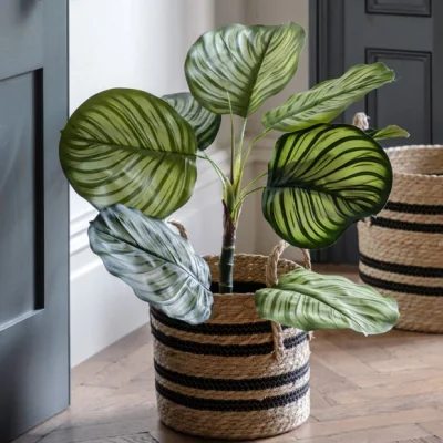 Dunelm Cedar & Sage Artificial Small Calathea Leaf Tree in Black Plant Pot