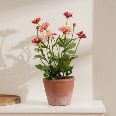 Dunelm Artificial Pyrethrum Daisy in Terracotta Plant Pot