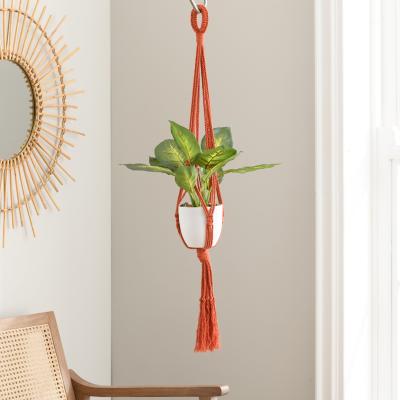 Dunelm Macrame Single Plant Hanger Ginger