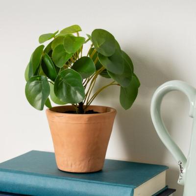 Dunelm Artificial Real Touch Money Plant in Terracotta Ceramic Plant Pot