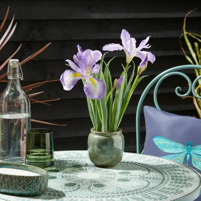 Dunelm Artificial Iris Flower in Ceramic Plant Pot