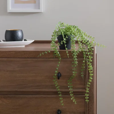 Dunelm Artificial Trailing Ficus Pumila Plant in Black Plant Pot