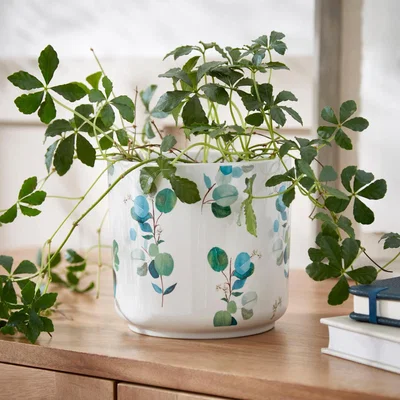 Dunelm Eucalyptus Plant Pot MultiColoured