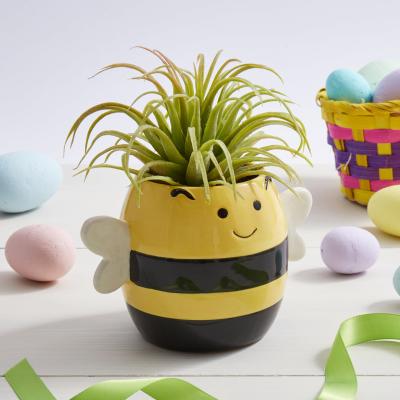 Dunelm Bee Plant Pot MultiColoured