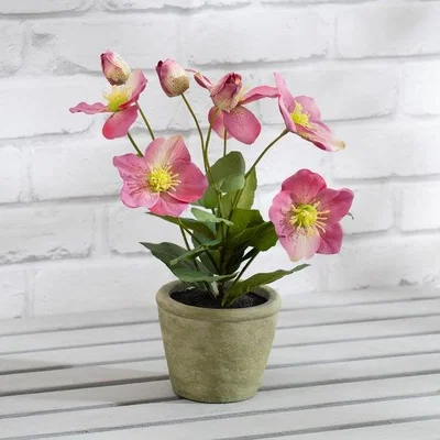 Dunelm Artificial Hellebore in Terracotta Plant Pot