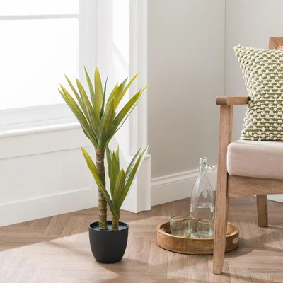 Dunelm Artificial Yucca Plant in Black Plant Pot