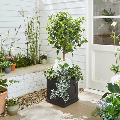 Dunelm Artificial White Bay Tree with Floral Base in Square Black Plastic Plant Pot