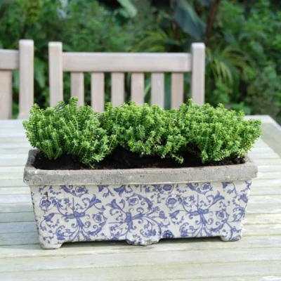 Dunelm Fallen Fruits Ceramic Rectangular Planter