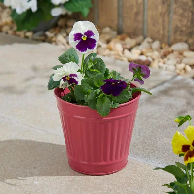 Dunelm Small Metal Plant Pot Rasberry (Pink)