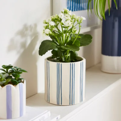 Dunelm Striped Ceramic Plant Pot